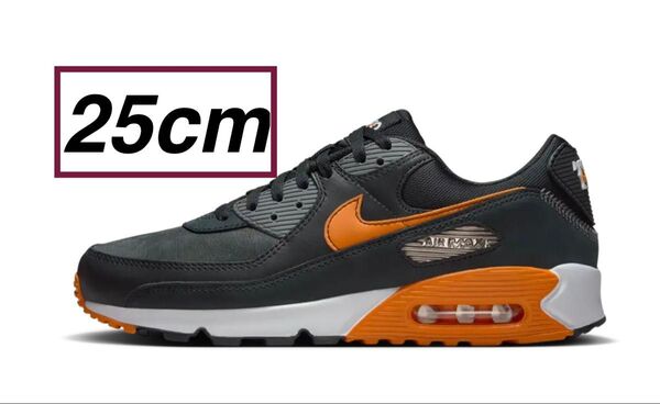 Nike AirMax 90 Tokyo Giants 読売ジャイアンツ 25 NIKE ナイキ エアマックス シューズ