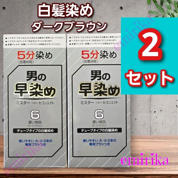 男の早染め 白髪染め ダークブラウン お得な 2個セット メンズ
