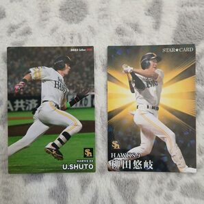 プロ野球チップス