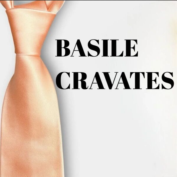 BASILE CRAVATES 無地 ソリッドタイ 単色 ブランドネクタイ 総柄 メンズネクタイ 高級シルク