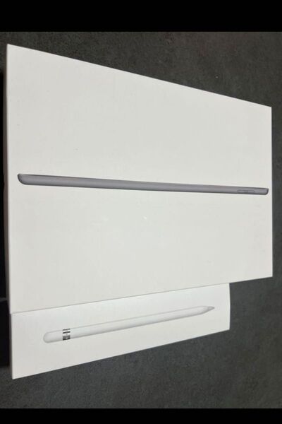 Apple iPad スペースグレー 本体とApple Pencilセット