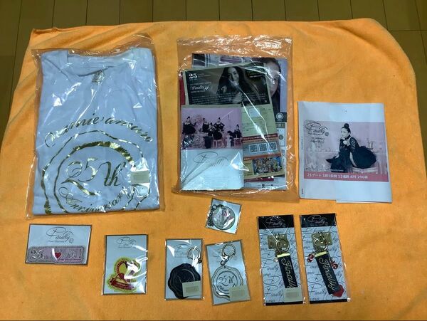 レア品!安室奈美恵FinalTour~finally~ 2018 5/2 グッズ Tシャツ