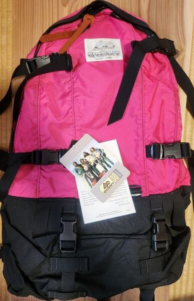 GREGORY グレゴリー30th記念 デイパック TWO DAY 37L ピンク