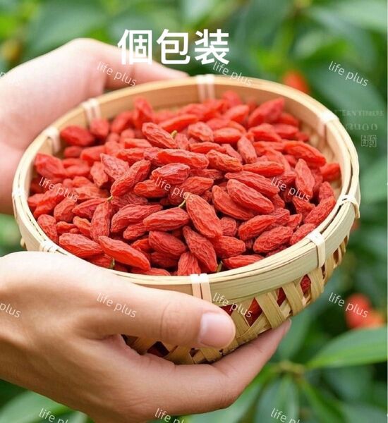 クコの実 スーパーフード ゴジベリー 寧夏枸杞