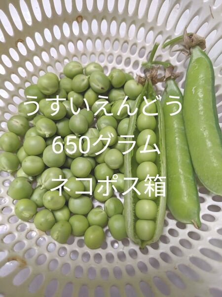1.岡山県産 うすいえんどう 箱込み650グラム ネコポス箱