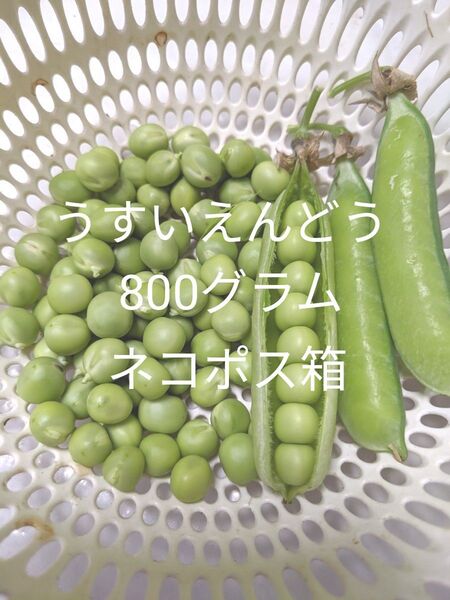 8.岡山県産 うすいえんどう 800グラム ネコポス箱