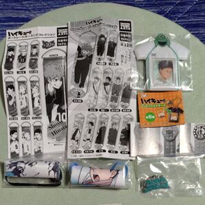 ハイキュー!! 青葉城西高校セット