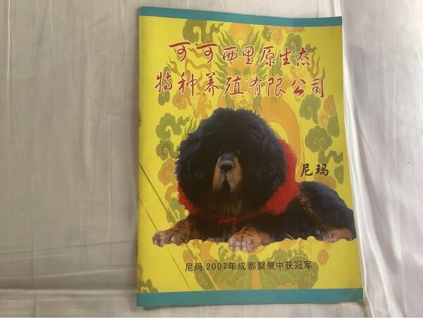 チャウチャウ犬 カタログ 冊子 成都
