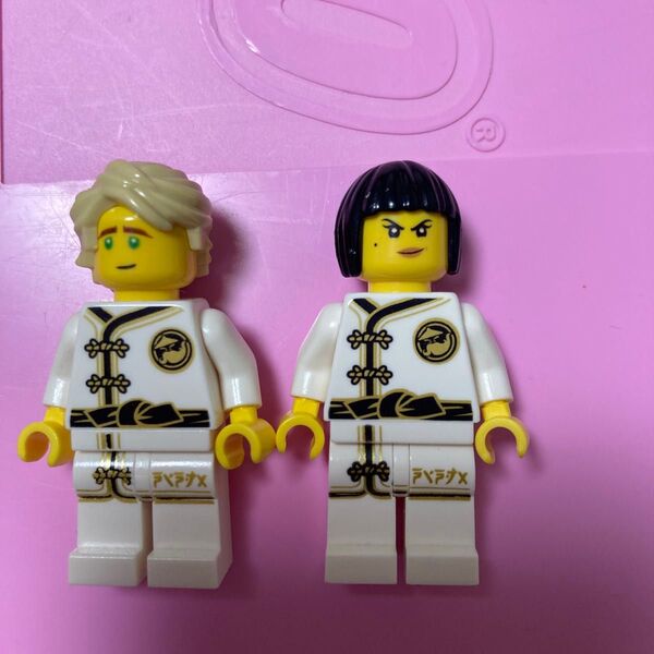 LEGO ニンジャゴー ニャー ロイド