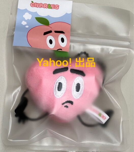 EXO D.O. ZZIRANG-E & CHARLES Picnic Day POP CHARLES PLUSH キーリング ⑤