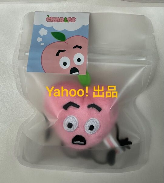 EXO D.O. ZZIRANG-E & CHARLES Picnic Day POP CHARLES PLUSH キーリング ③