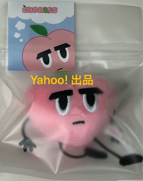 EXO D.O. ZZIRANG-E & CHARLES Picnic Day POP CHARLES PLUSH キーリング