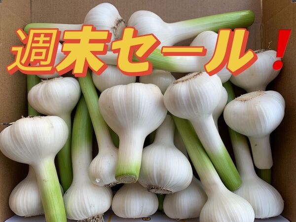 無農薬生ニンニク1KG 福岡産