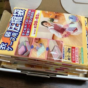 衣装ケース用 圧縮袋 39×53cm 衣類圧縮袋 衣類収納 袋