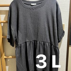大きいサイズ カットソー
