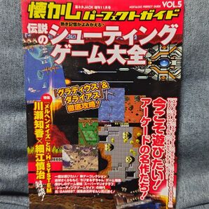 懐かしパーフェクトガイド 伝説のシューティングゲーム大全