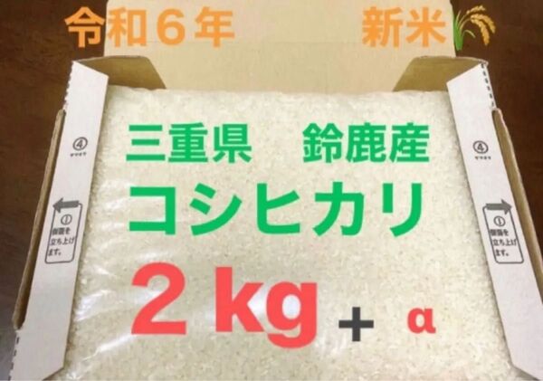 令和6年(2024年)収穫!新米コシヒカリ 精米済み 三重県鈴鹿産☆ 2kg+α