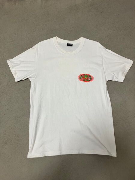 STUSSY Tシャツ ワンポイントロゴ 白