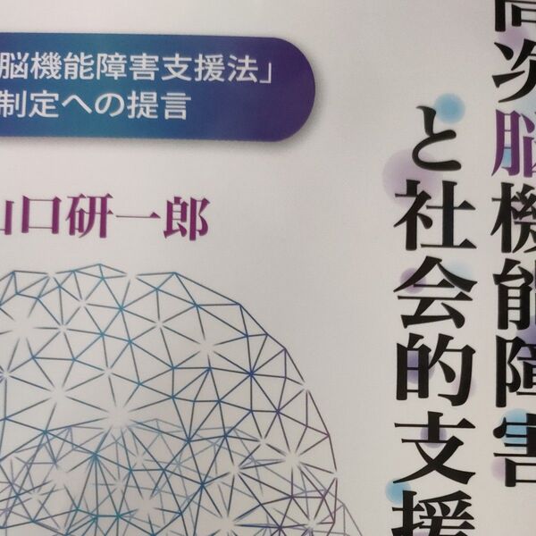 高次脳機能障害と社会的支援 「高次脳機能障害支援法」制定への提言 山口研一郎/著