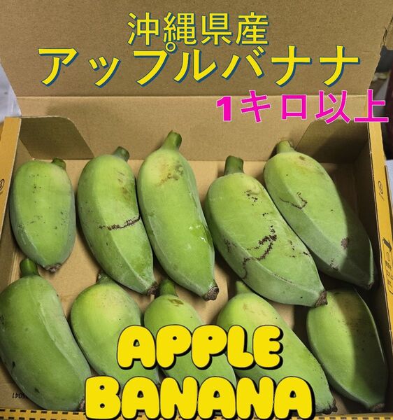 アップルバナナ 1Kg以上