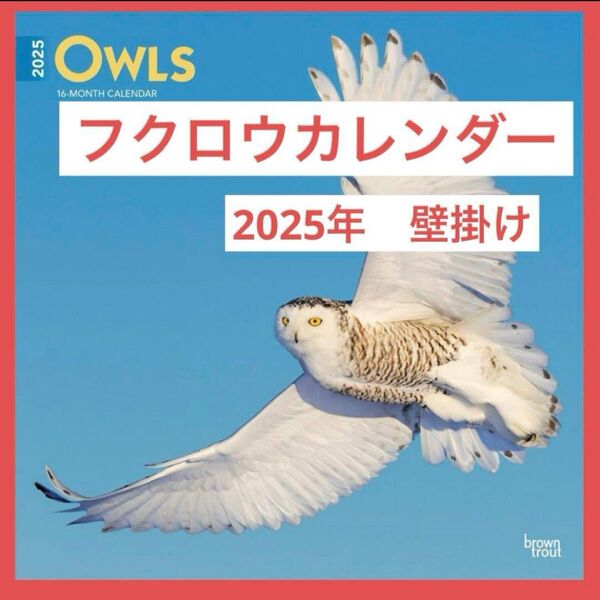 2025年 ふくろう カレンダー 30.5 x 61 cm 壁掛け