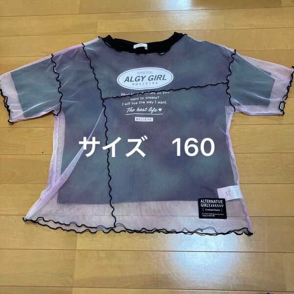 アルジー 半袖 女の子 160 Tシャツ