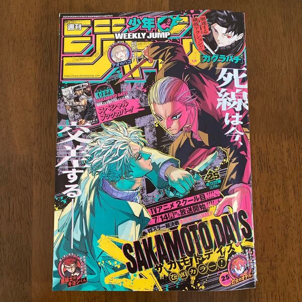 週刊少年ジャンプ 2025年 25号