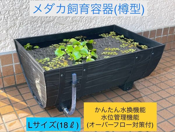 25053 メダカ飼育容器(樽型) 【18L】「かんたん水換え機能」&「水位管理機能」付