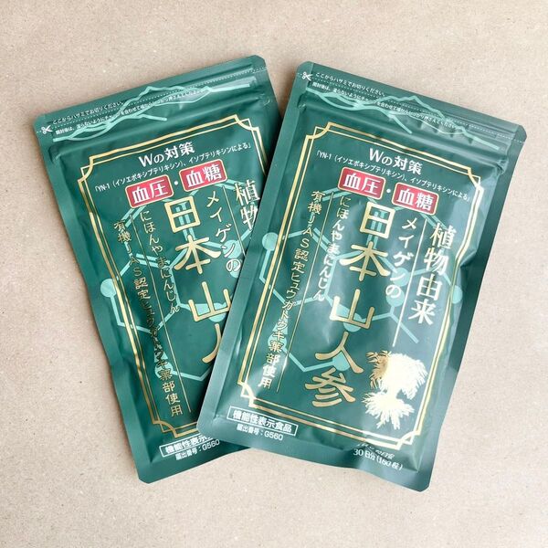 日本山人参サプリメント 180粒 2袋