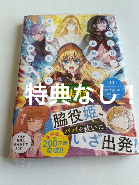 ある日、お姫様になってしまった件について 11巻