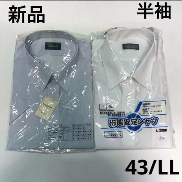 新品 カッターシャツ 半袖 ビジネス ワイシャツ ホワイト ブルー 43 LL