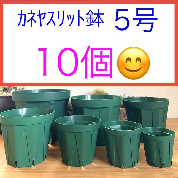 A⑦ カネヤスリット鉢【5号】10個セット★モスグリーン