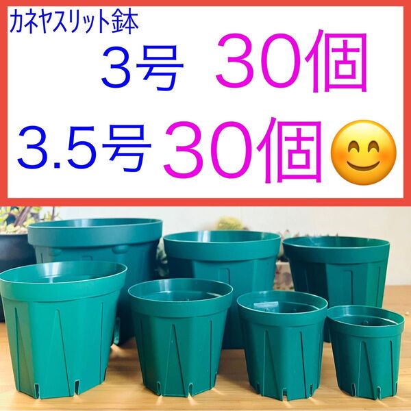A⑩ スリット鉢お得セット★【3号30個】【3.5号30個】