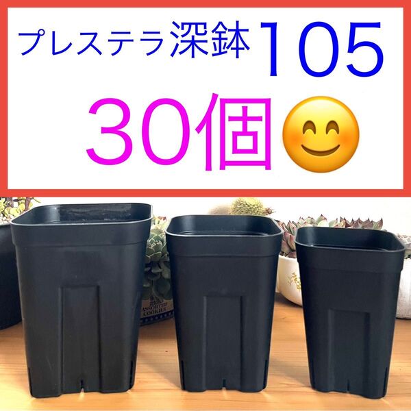 F②【プレステラ105深鉢・3号ロング鉢】ブラック30個★