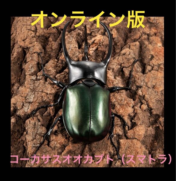 【オンライン版】いきもの大図鑑アドバンス コーカサスオオカブト ディスプレイスタンドセット コーカサスオオカブト(スマトラ)単品