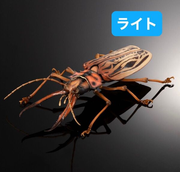 いきもの大図鑑アドバンス オオキバウスバカミキリとハンミョウ 【カプセル版】オオキバウスバカミキリ(ライト)単品