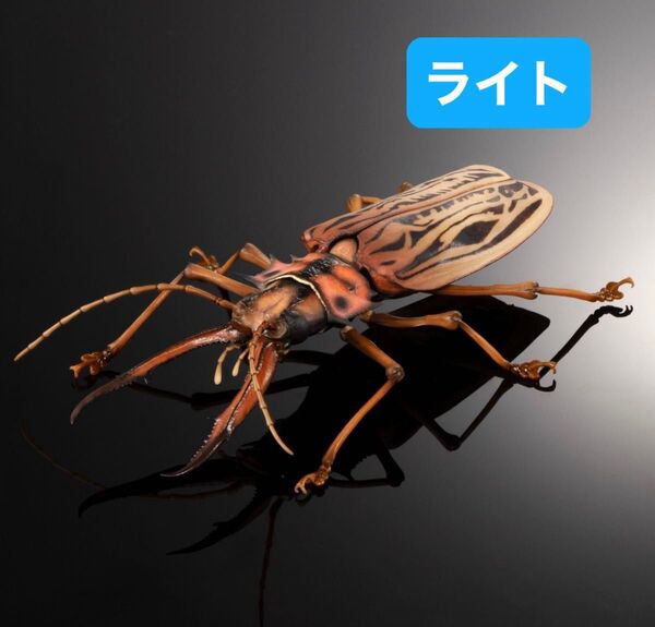 いきもの大図鑑アドバンス オオキバウスバカミキリとハンミョウ 【カプセル版】オオキバウスバカミキリ(ライト)単品