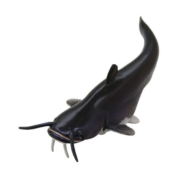 【ビワコオオナマズ 単品】Nature of Japan 日本のいきもの2 ネイチャーテクニカラー 未開封品