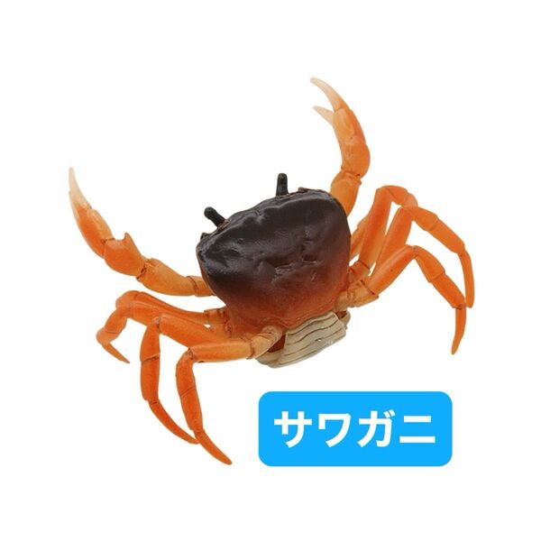 【サワガニ 単品】Nature of Japan 日本のいきもの2 ネイチャーテクニカラー 未開封品