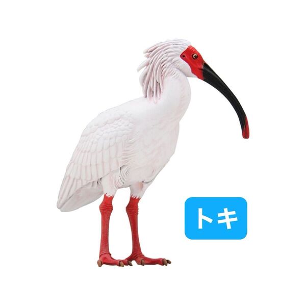 【トキ 単品】Nature of Japan 日本のいきもの2 ネイチャーテクニカラー 未開封品