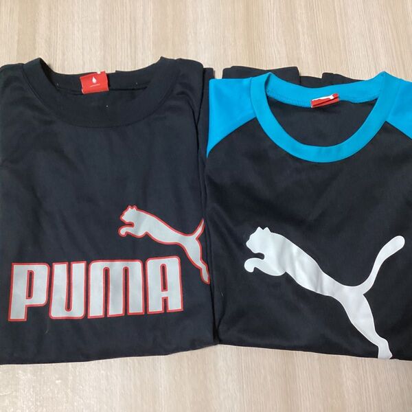 PUMA Tシャツ 160cm 2枚 プーマ