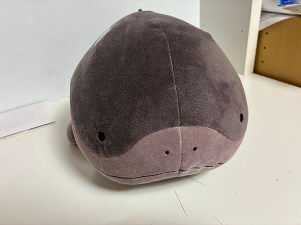 ポケットモンスター めちゃもふぐっとぬいぐるみ ドオー 紙タグ付き