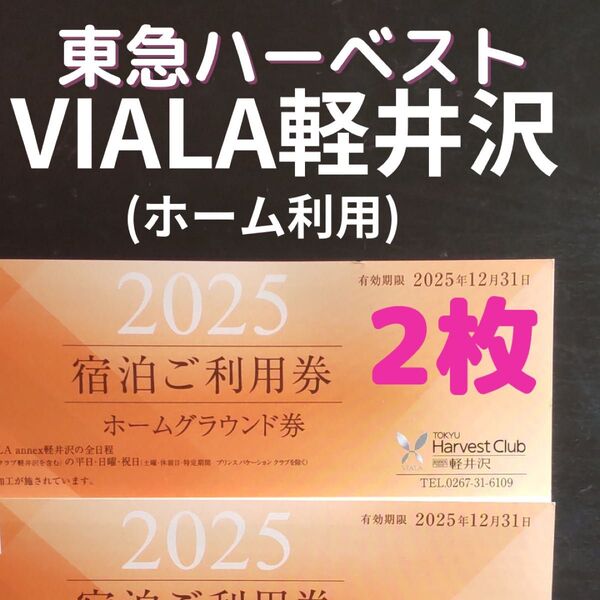 東急ハーヴェストクラブ VIALA軽井沢 宿泊利用券(ホーム) 2枚