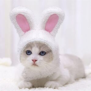 被り物 コスプレ 猫 犬 帽子 ホワイト 動物 ペット 着ぐるみ うさぎ