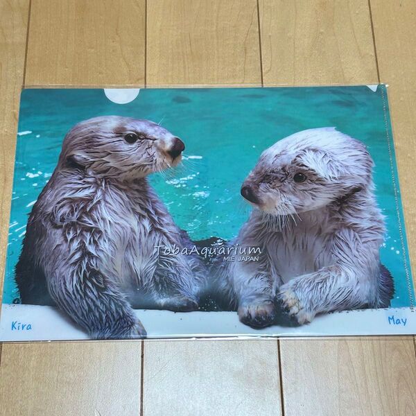 新品 鳥羽水族館 ラッコ クリアファイル キラちゃん メイちゃん グッズ 実写 A4 A4クリアファイル 匿名配送