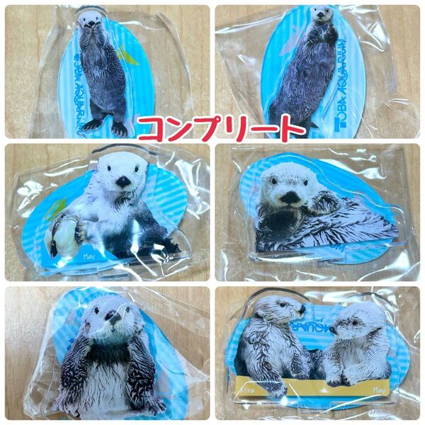 鳥羽水族館 ラッコ メイちゃん キラちゃん ガチャ パネルスタンド アクリルスタンド アクスタ コンプリート フルコンプ 全種類