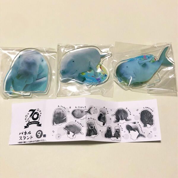鳥羽水族館 ジュゴン ガチャ パネルスタンド アクスタ セレナ コンプリート アクリルスタンド グッズ