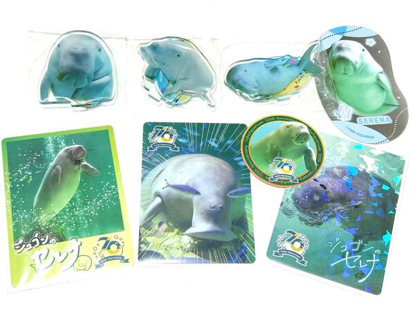 鳥羽水族館 ジュゴン セレナ セット カード レア アクスタ シール ステッカー パネルスタンド グッズ まとめ