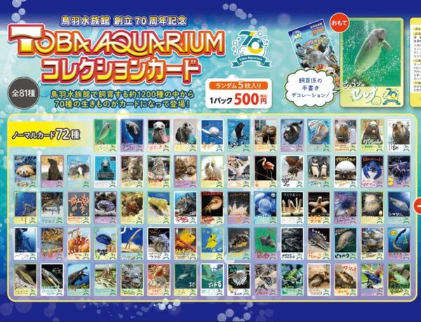 鳥羽水族館 コレカ ノーマルカード コンプリート 70周年記念 セレナ コレクションカード ラッコ メイちゃん キラちゃん とレカ