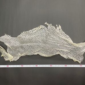 白蛇の抜け殻 大蛇の一部 約70×25cm 縁起物 (No.2)
